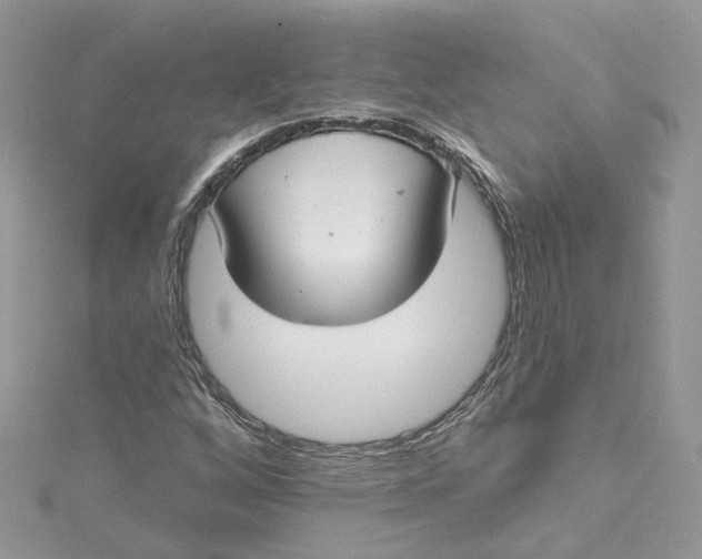 X0000115131256200911171152