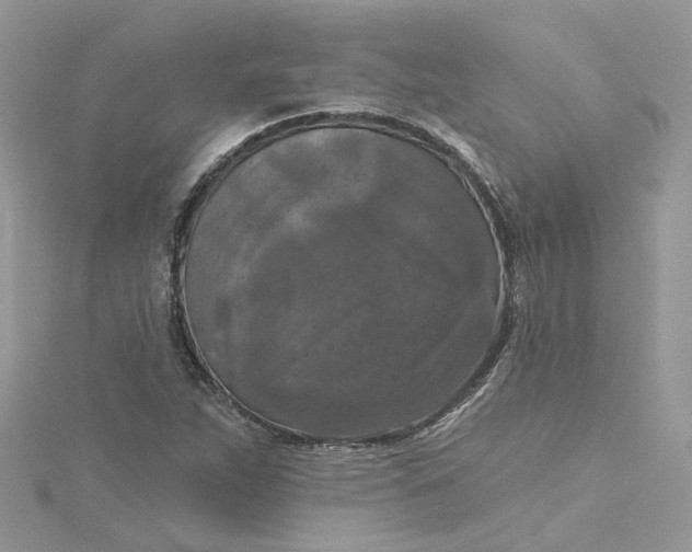 X0000115131263200911171152