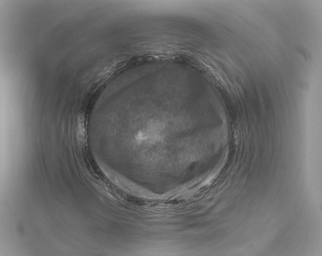 X0000115131298200911171151