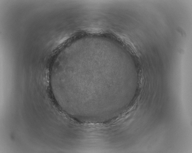 X0000115131301200911171151