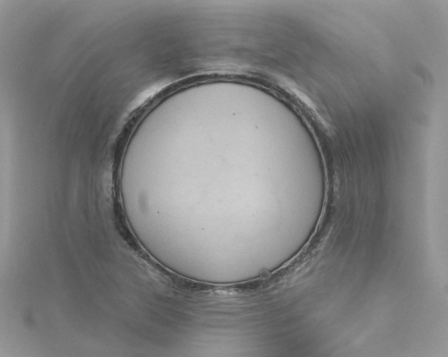 X0000115131315200911171151