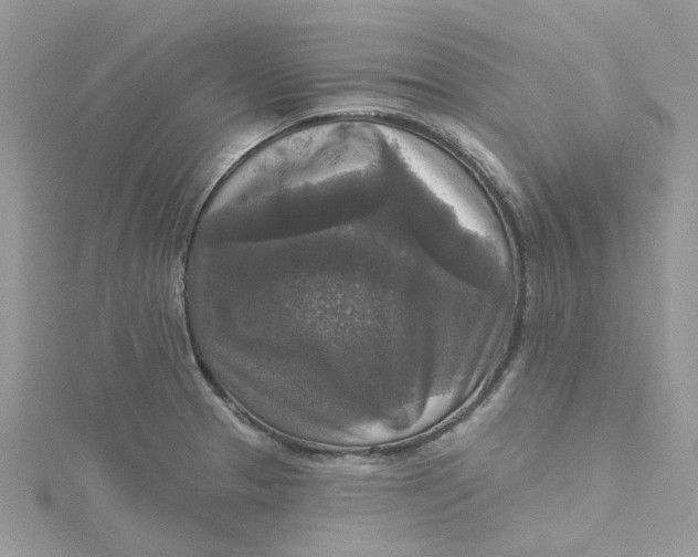 X0000115131329200911171151