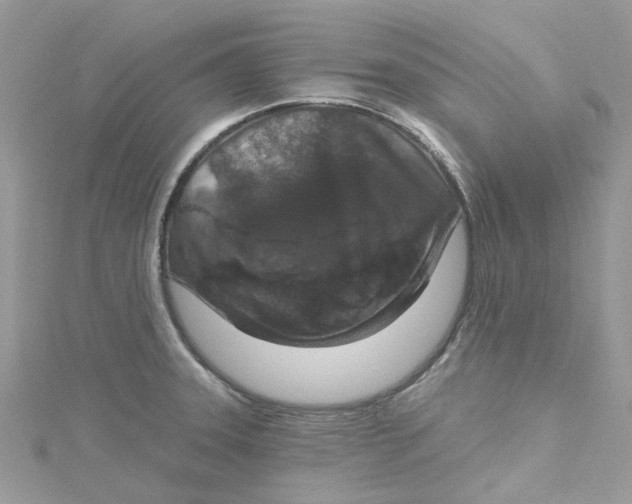 X0000115131331200911171152