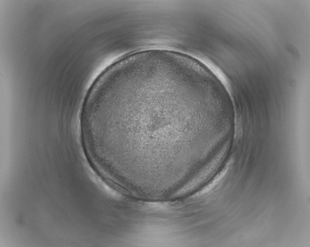 X0000115131341200911171152
