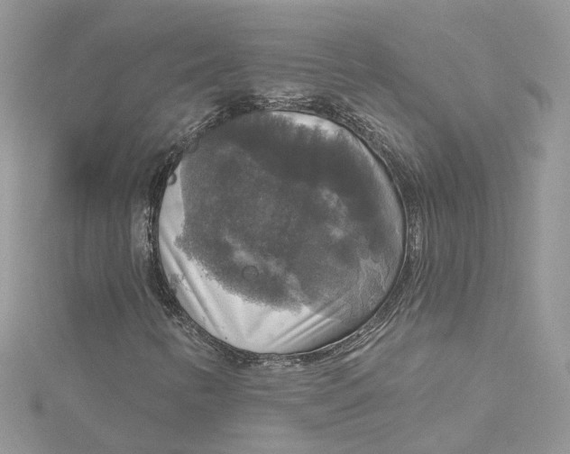 X0000115131346200911171151