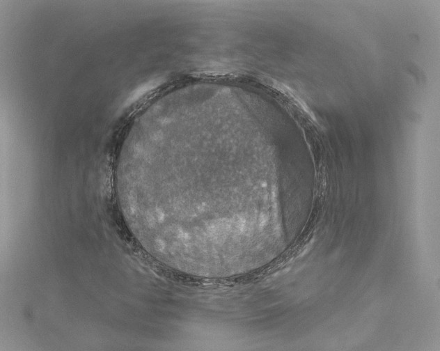 X0000115131350200911171151