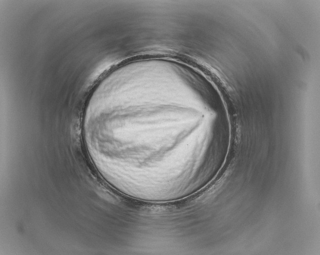 X0000115131355200911171151