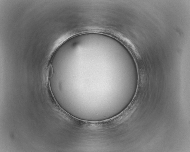 X0000115131365200911171151