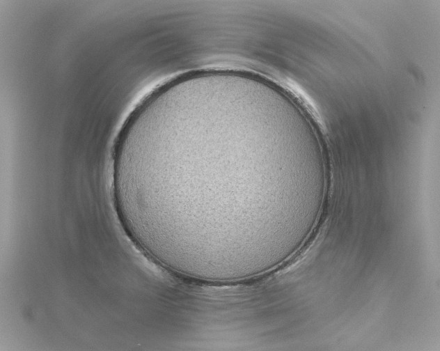X0000115131376200911171150
