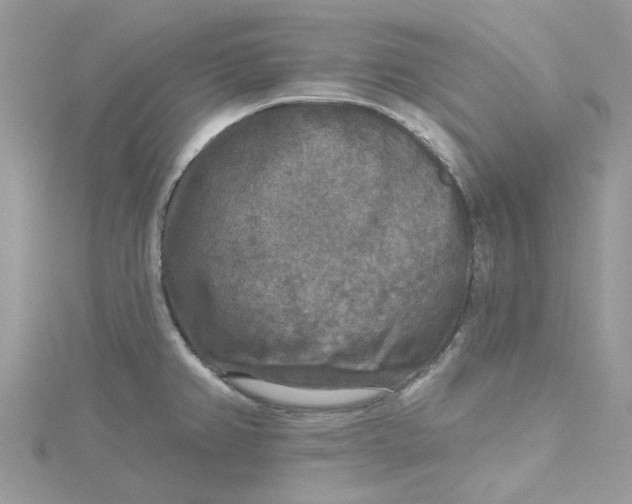X0000115131382200911171150