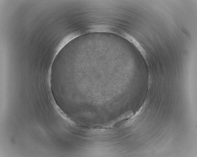 X0000115131386200911171150