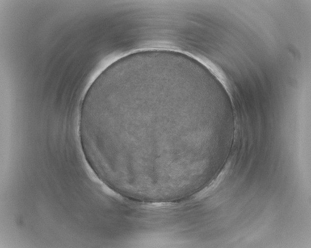 X0000115131390200911171150