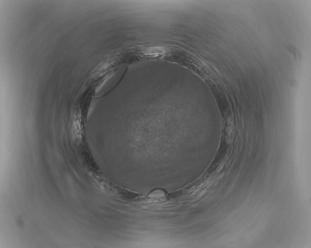 X0000115131394200911171150
