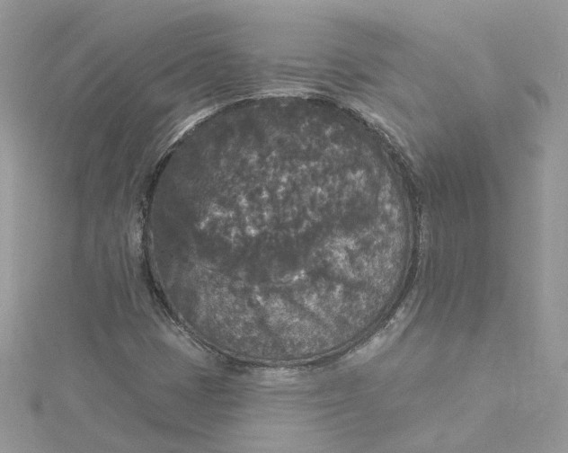 X0000115131401200911171150