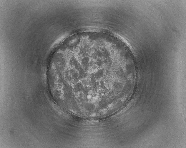 X0000115131403200911171150