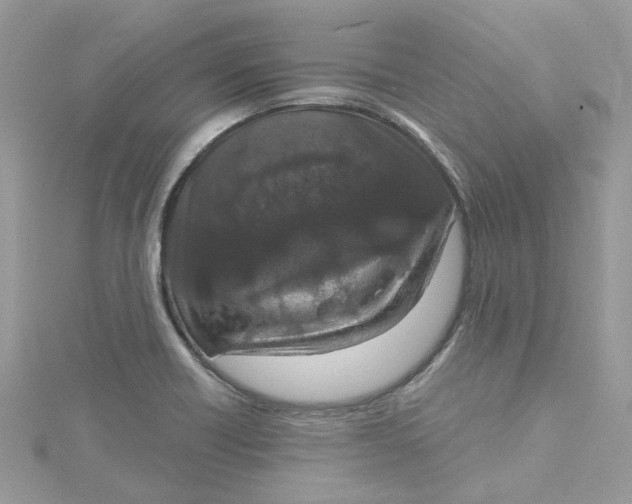 X0000115131418200911171150