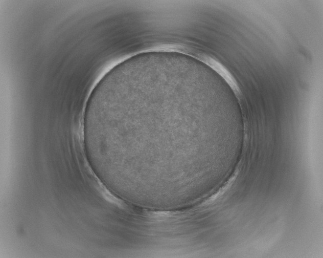 X0000115131436200911171150