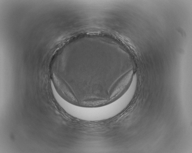 X0000115131445200911171149