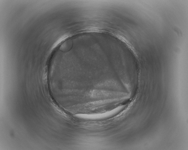 X0000115131450200911171149