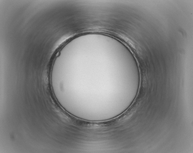 X0000115131458200911171149