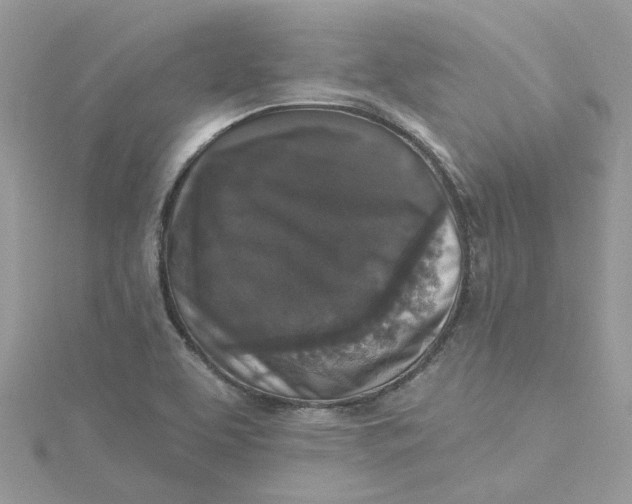X0000115131463200911171149