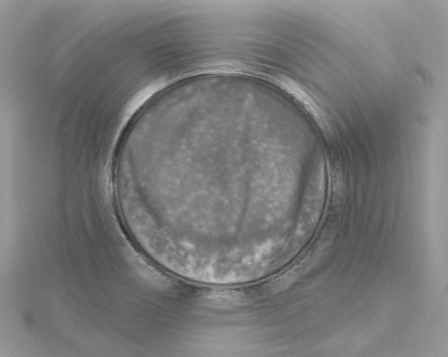 X0000115131466200911171149