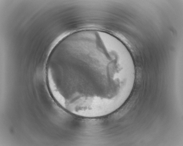 X0000115131474200911171149