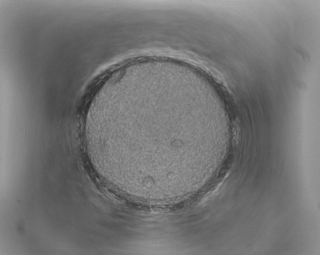 X0000115131494200911171148