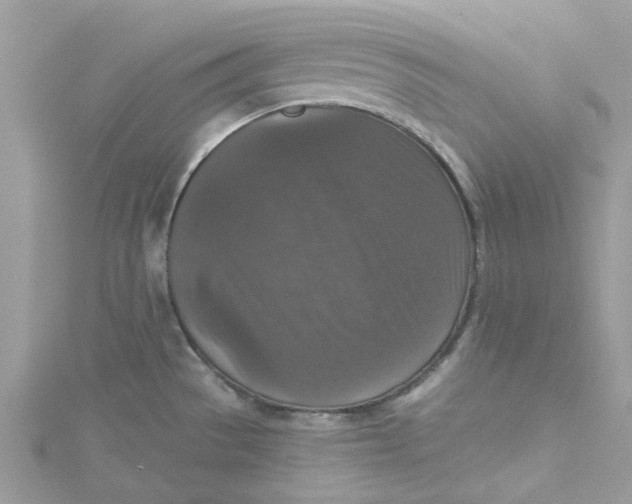 X0000115131529200911171149