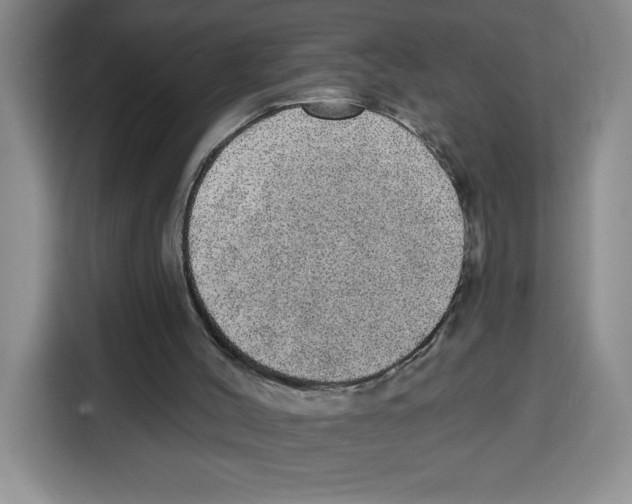 X0000115130004200911241455