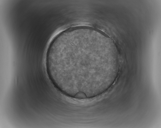 X0000115130006200911241455
