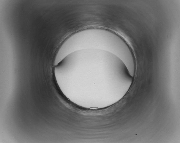 X0000115130009200911241455