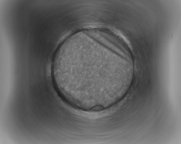 X0000115130010200911241455