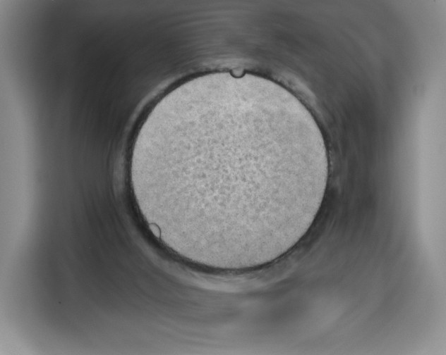 X0000115130012200911241455