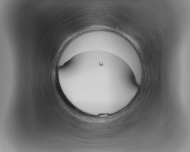 X0000115130015200911241455