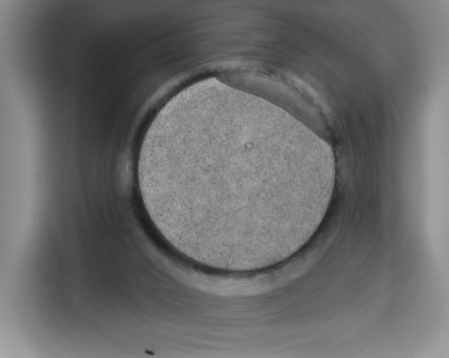 X0000115130016200911241455