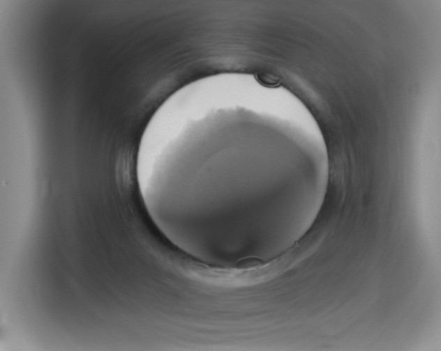 X0000115130023200911241455
