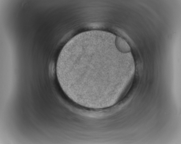 X0000115130024200911241455
