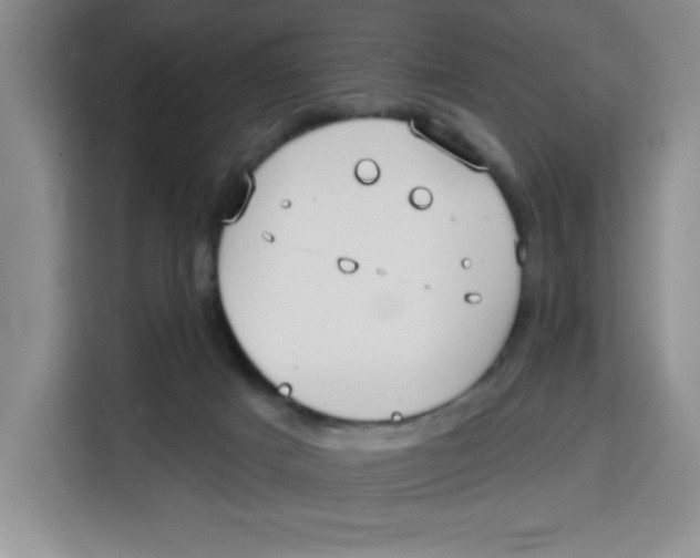 X0000115130025200911241455