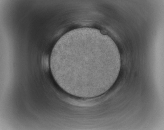 X0000115130028200911241455