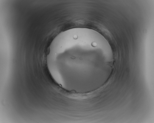 X0000115130029200911241455