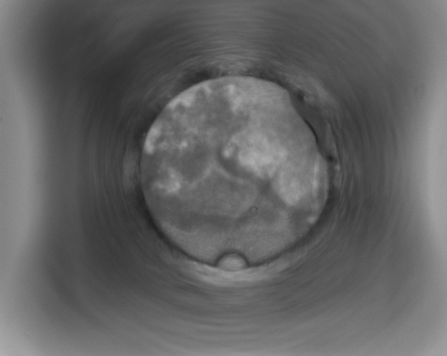 X0000115130034200911241454
