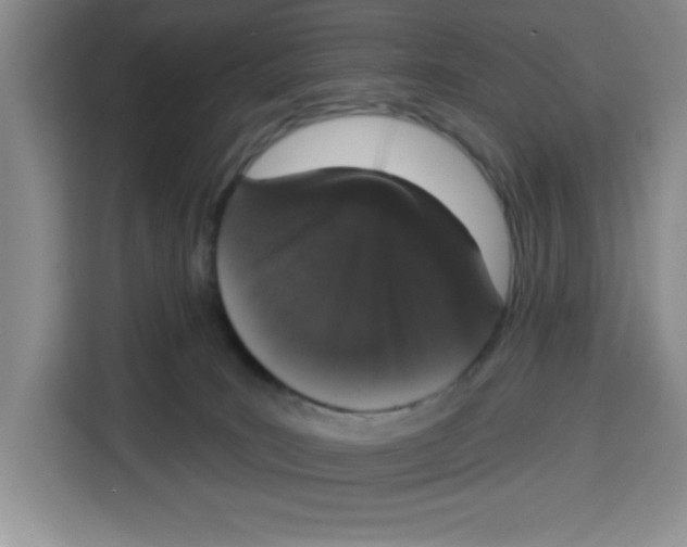 X0000115130035200911241454