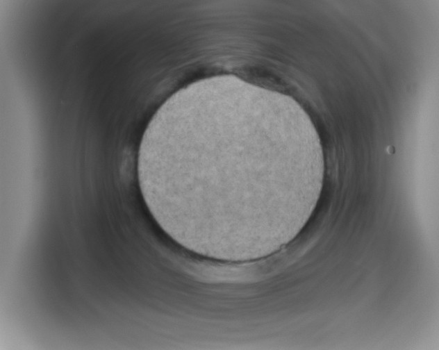 X0000115130036200911241454