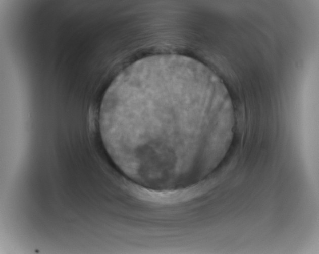 X0000115130038200911241454
