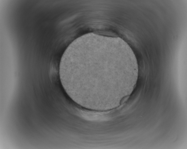 X0000115130040200911241454