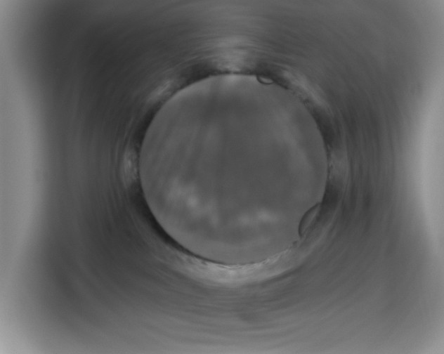 X0000115130043200911241454