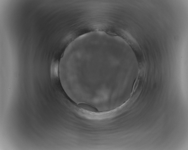 X0000115130047200911241454