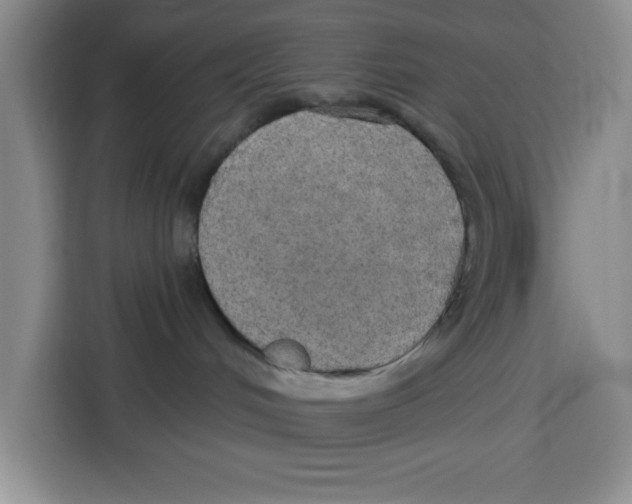 X0000115130048200911241454