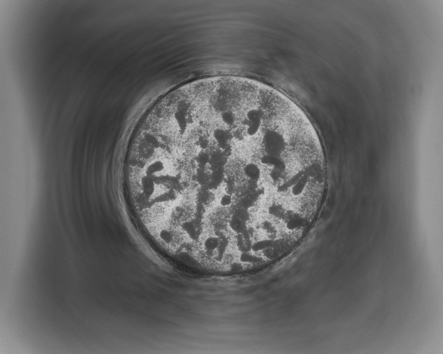 X0000115130049200911241454